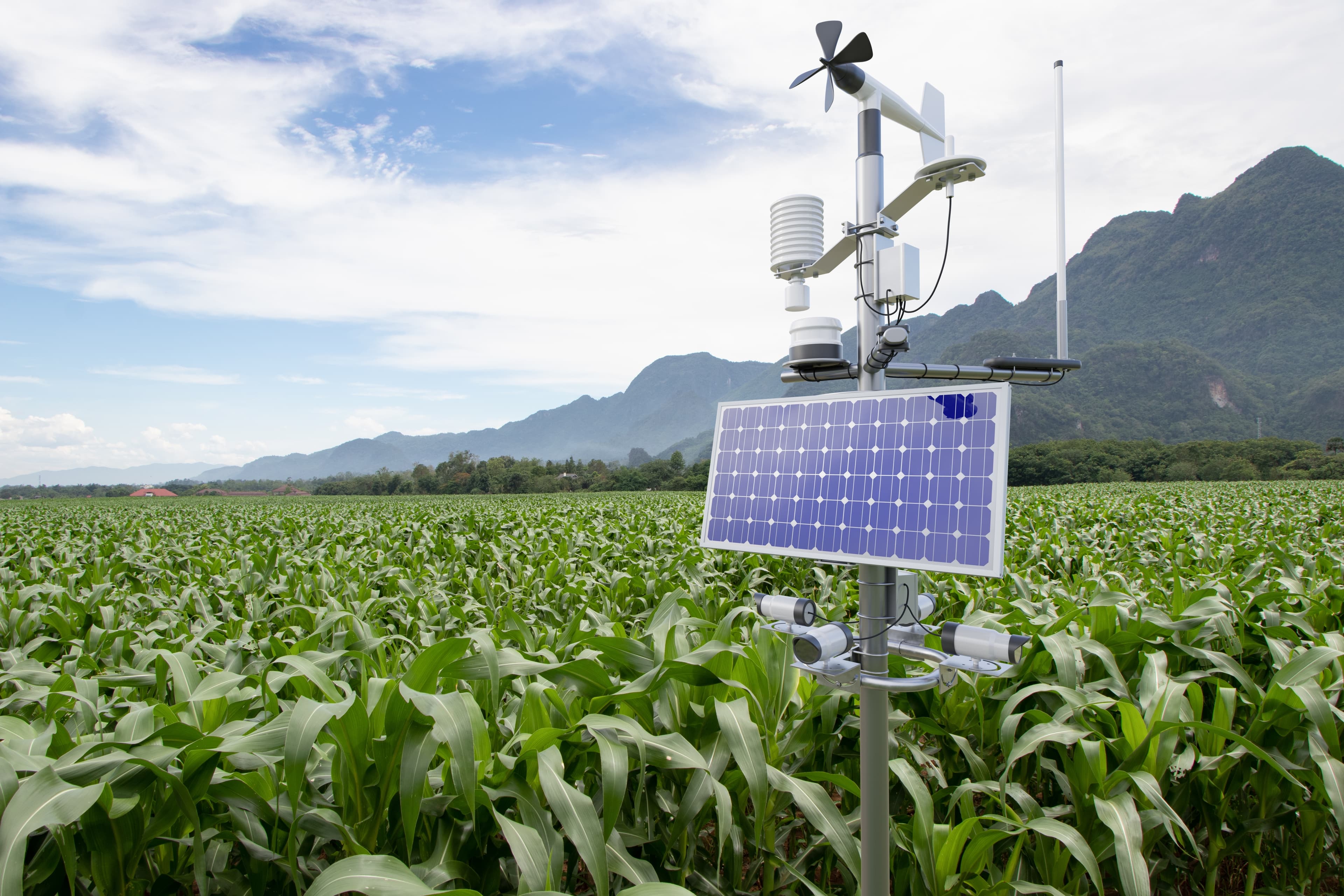 Photo - AI for the Planet: How Russia’s Green Tech is Helping Nations Monitor and Protect the Environment