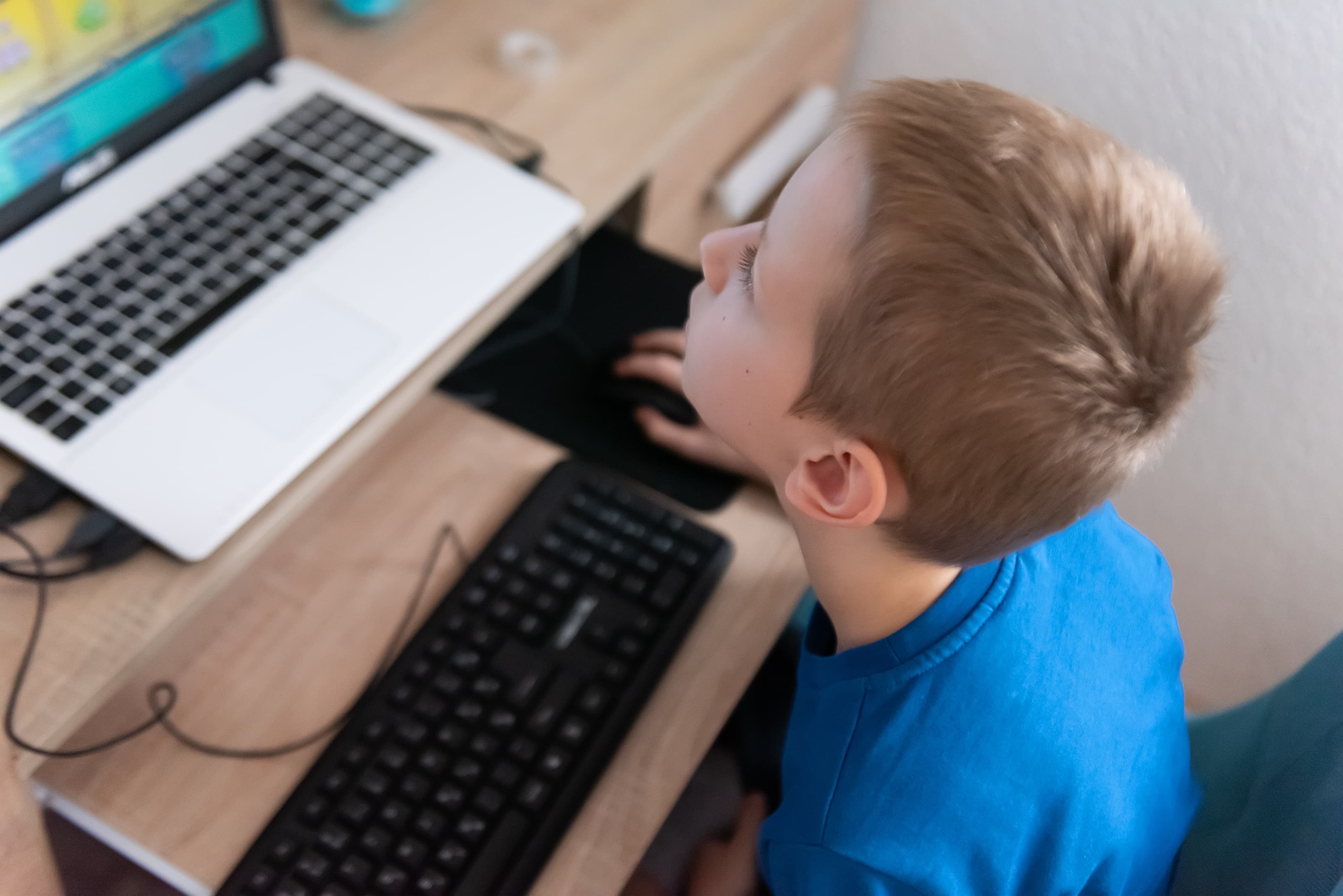 Russia Dramatically Expands Free University Slots for IT Students