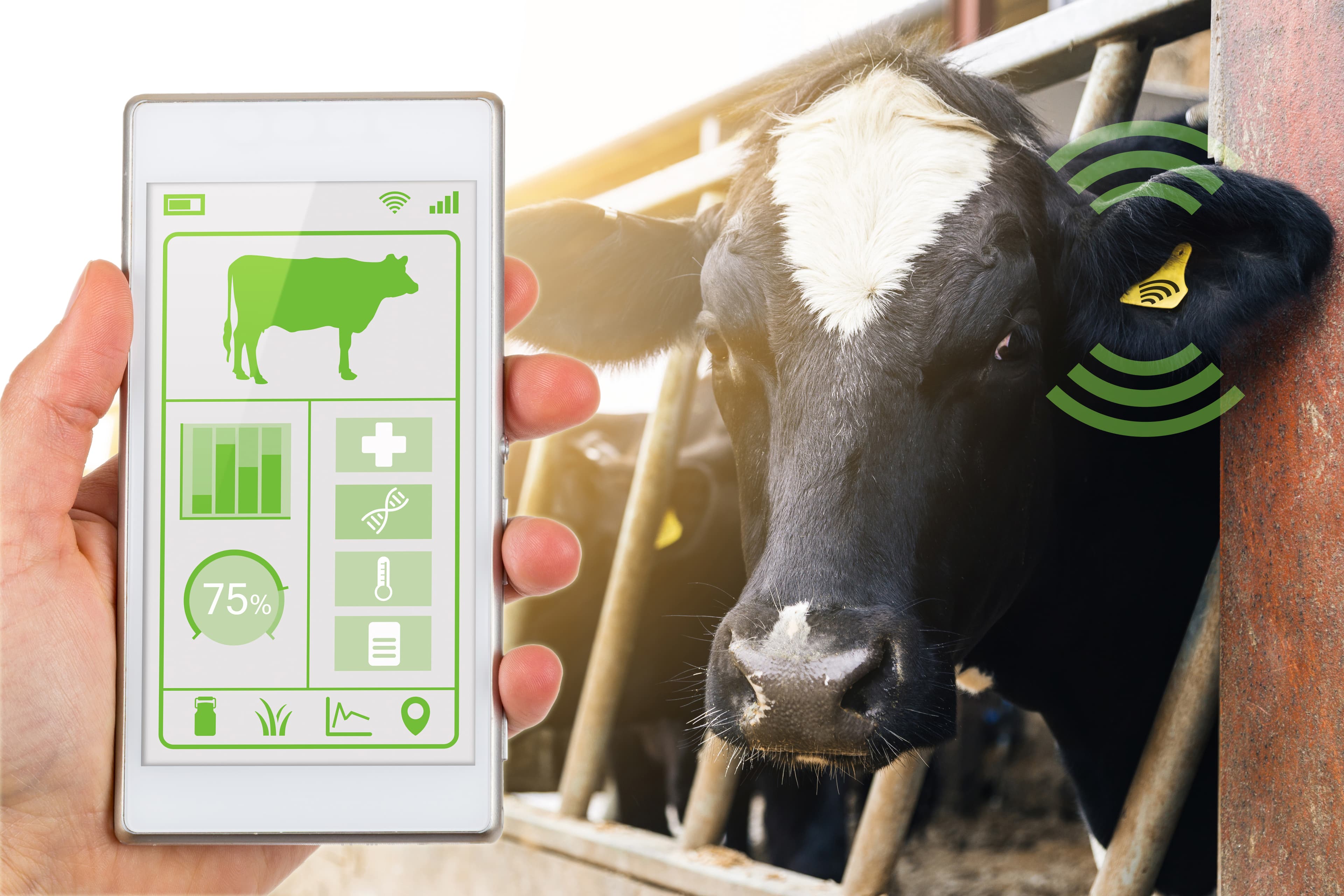 Neurochips in Cows? Russian Biotech Pushes the Boundaries of Dairy Production