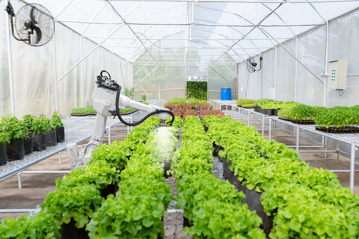 Photo - Russian AgTech Exports Aim to Tackle Hunger in Asia and Africa