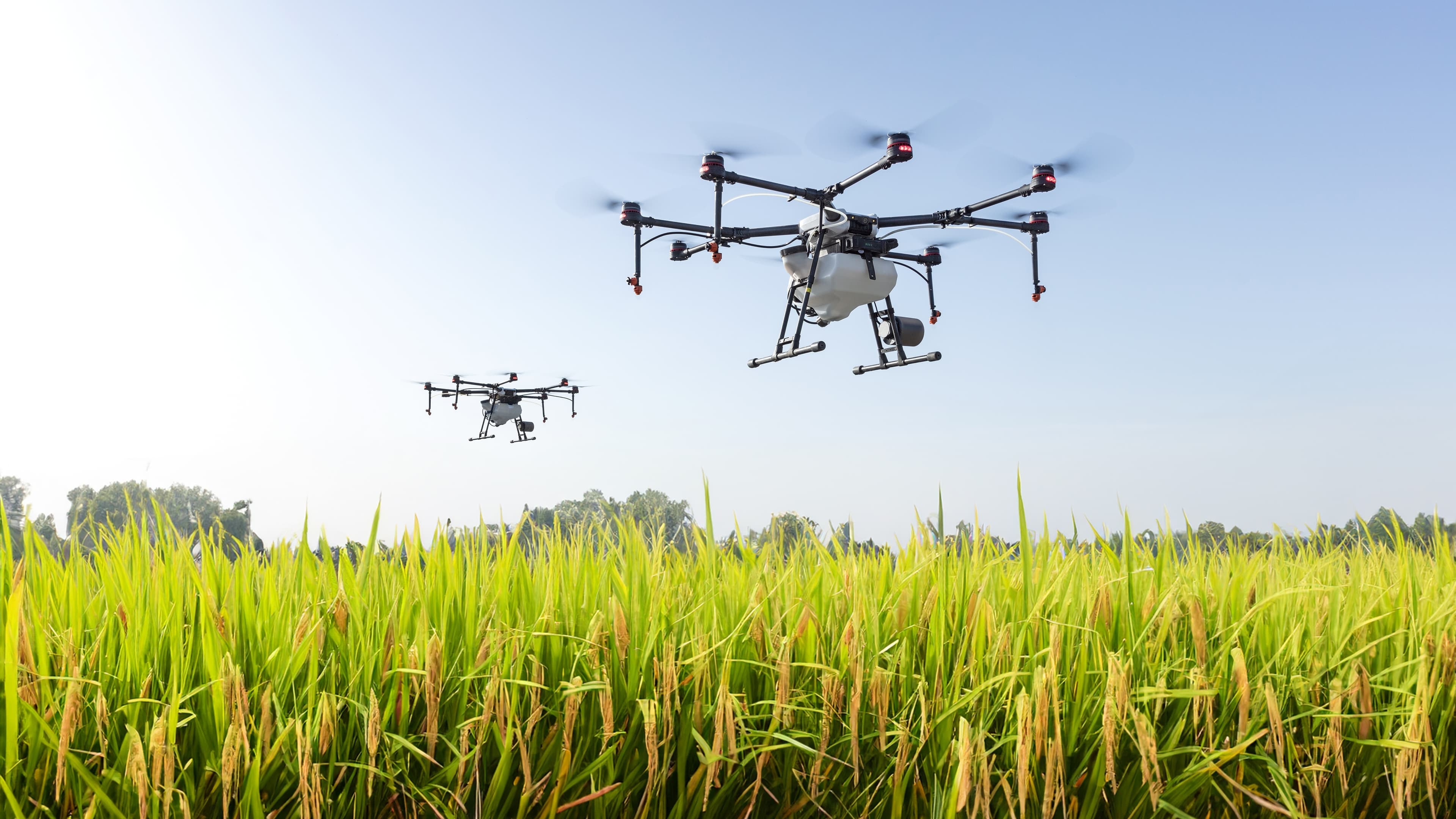 Russia’s Farmlands Go Airborne: Student-Led Drone Fleet Launches Precision Agriculture Revolution