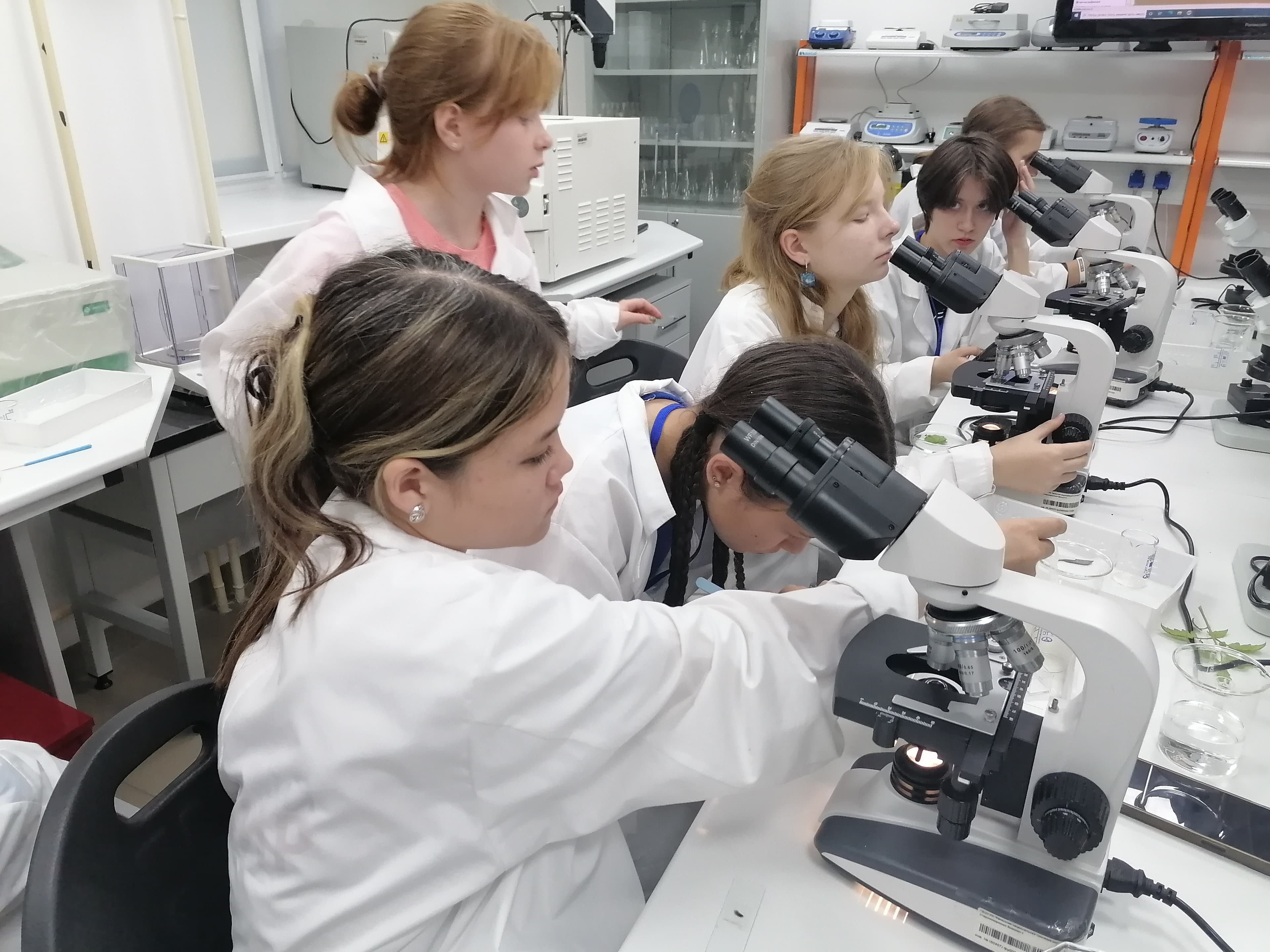 Photo - Russia’s Biotech Sector Shifts from Ambition to Action — and Investors Are Taking Note