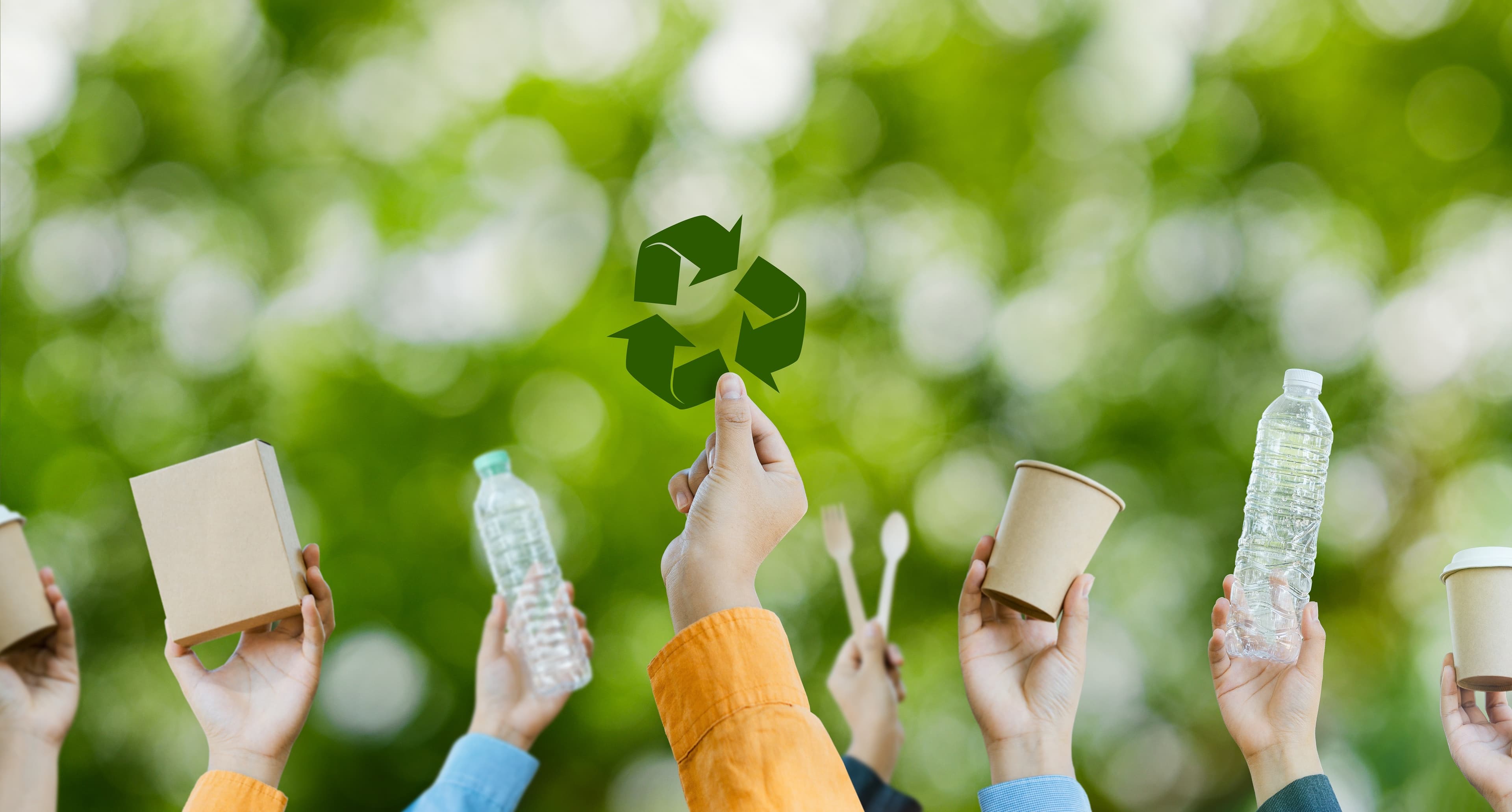 AI Takes On Landfills and Bird Hazards in Russia