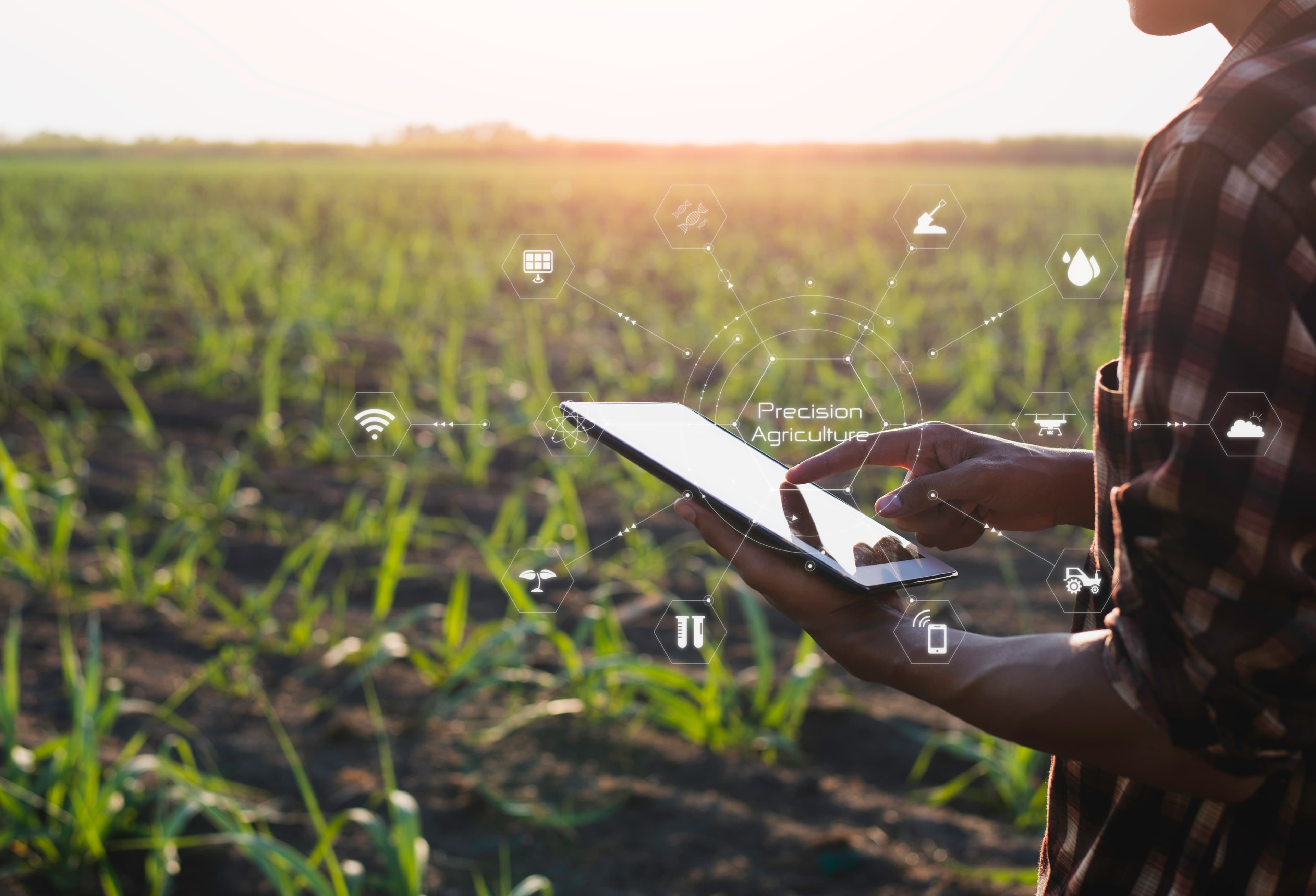 Russia Unveils AI System for Real-Time Environmental Monitoring