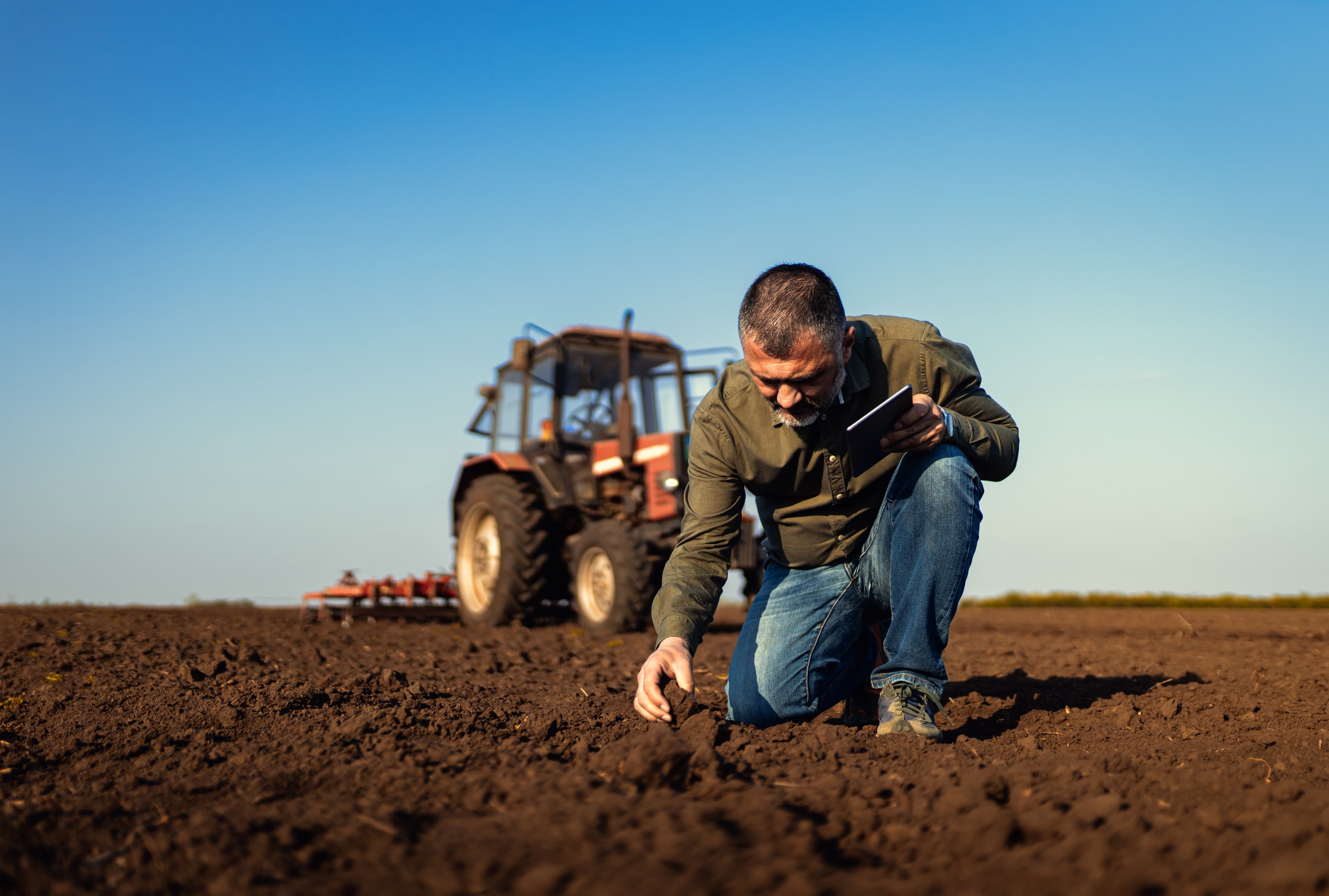 Russian Farmers Embrace AI and Business Intelligence to Boost Yields