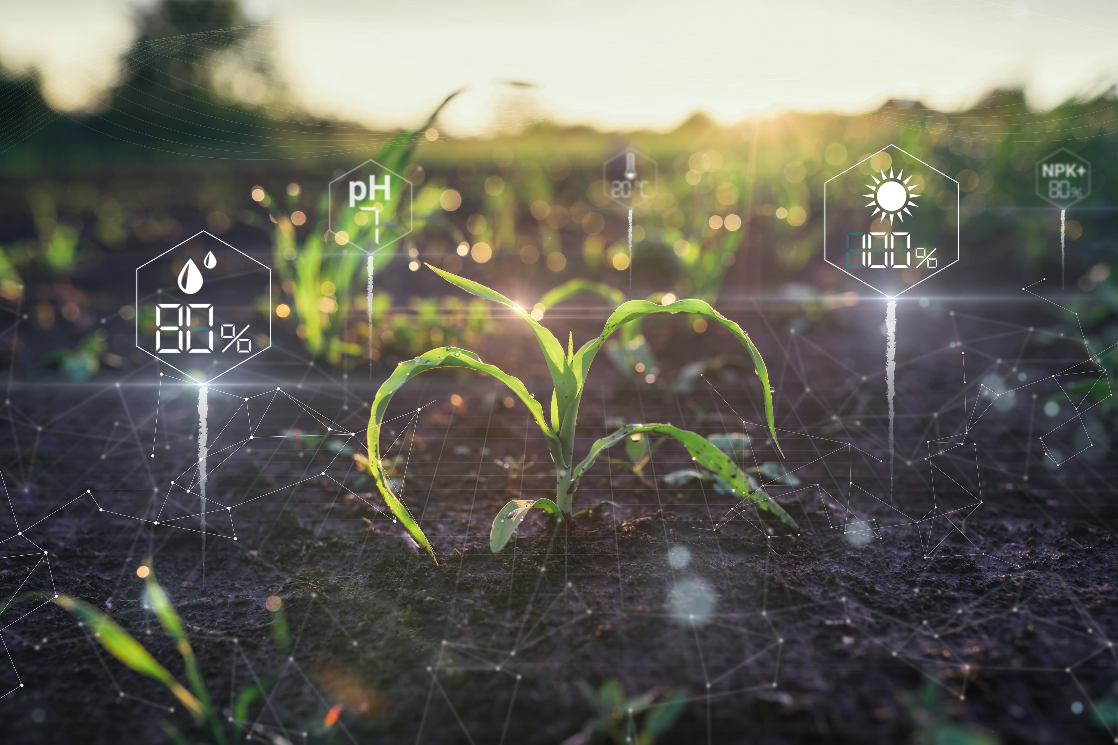 Photo - Inside Russia’s AgTech Surge: Digital Tools, Autonomous Tractors & In-House Innovation
